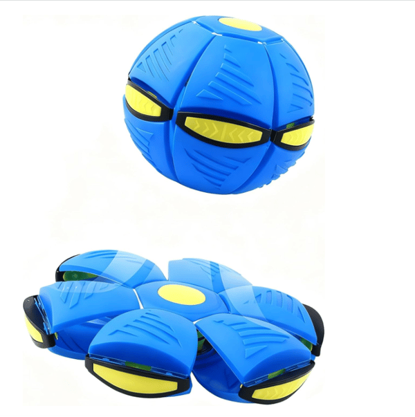 🔥Limited Time Promotion 50% OFF🔥