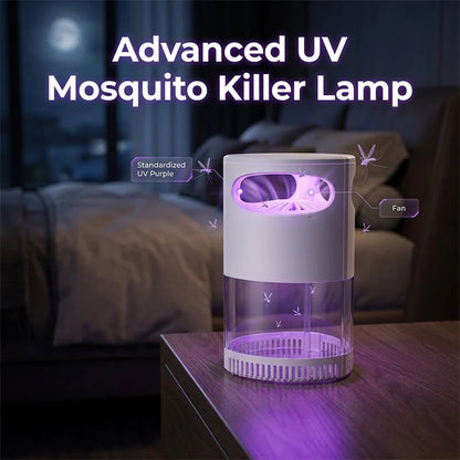 🔥Limited Time Promotion 50% OFF🔥