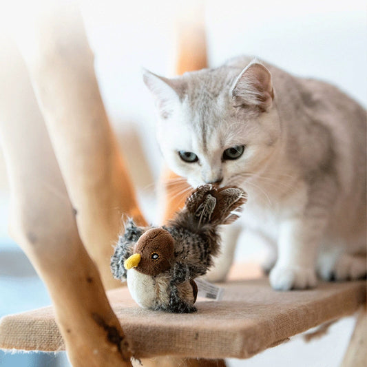 Sound-making bird and cat toys for entertainment🐱