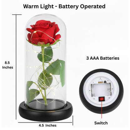 🔥Limited Time Promotion 50% OFF🔥